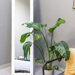 Peaceful, Spacious & Stylish, A Real Home! Буденш